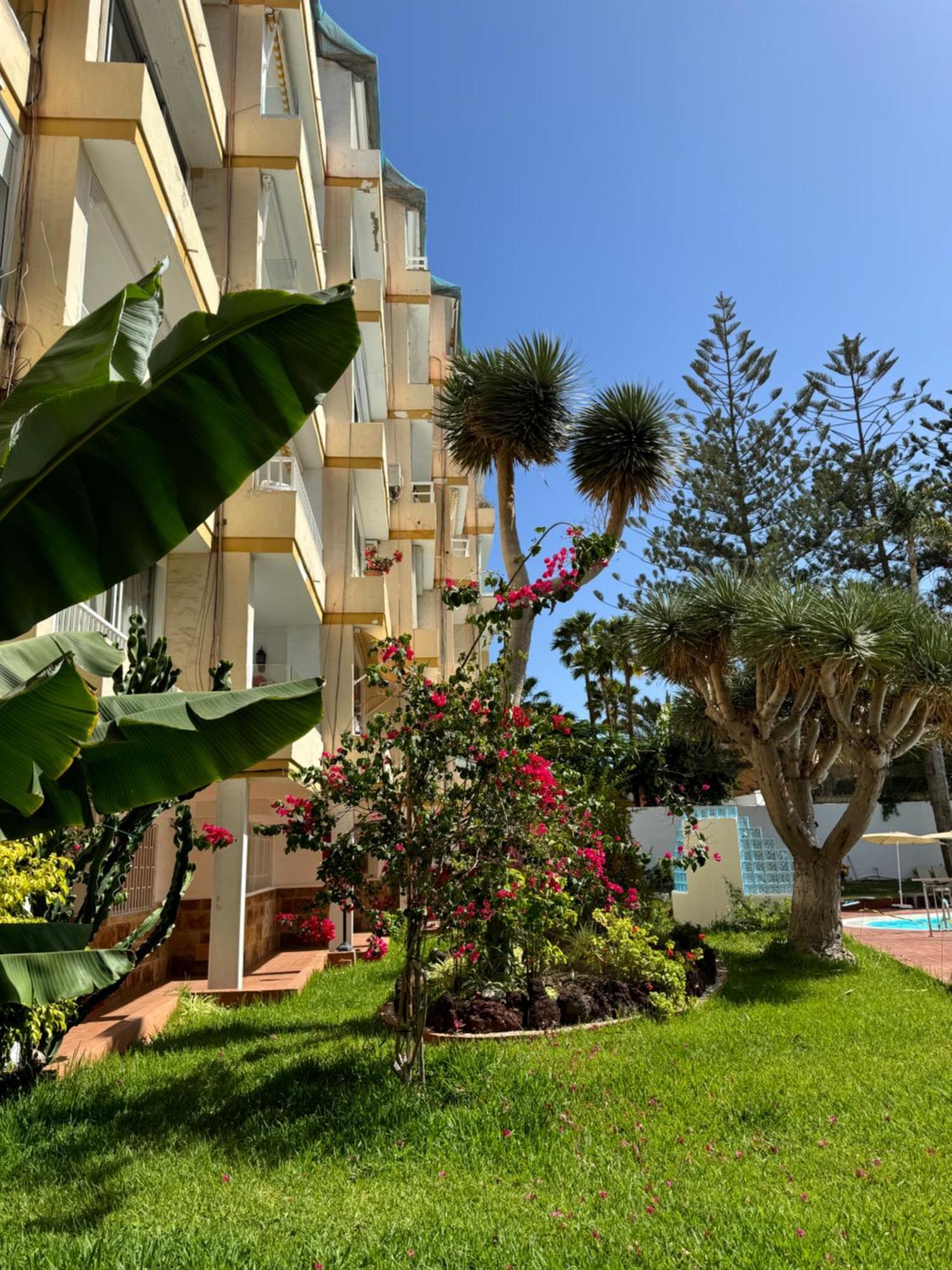 Apartamento Reformado En Apartamentos Tanife, Playa Del Ingles San Bartolomé 외부 사진